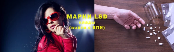 ПСИЛОЦИБИНОВЫЕ ГРИБЫ Майский