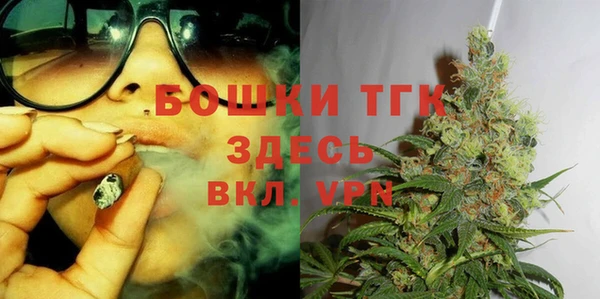 молекула духа Магас