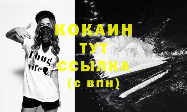 молекула духа Магас
