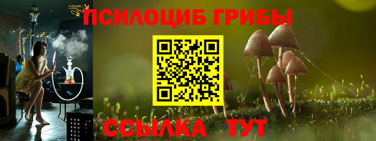 Галлюциногенные грибы Psilocybe Смоленск